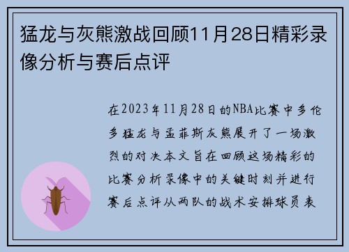 猛龙与灰熊激战回顾11月28日精彩录像分析与赛后点评